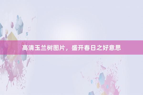 高清玉兰树图片，盛开春日之好意思